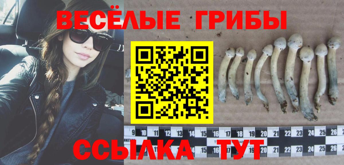 Галлюциногенные грибы ЛСД  Вход с VPN  Галлюциногенные грибы ЛСД  Электросталь 