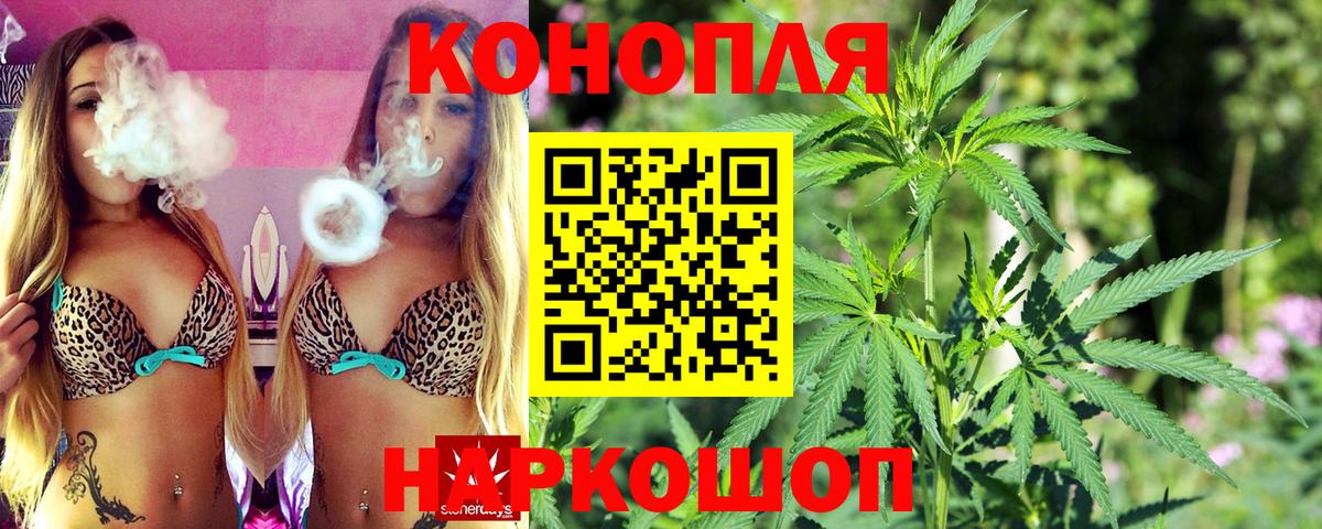 Бошки Шишки планчик Электросталь